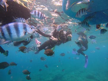 沖縄マリンサービス碧に投稿された画像（2022/7/26）