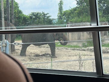 群馬サファリパークに投稿された画像（2022/7/26）