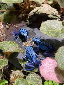 サンシャイン水族館に投稿された画像（2022/7/26）