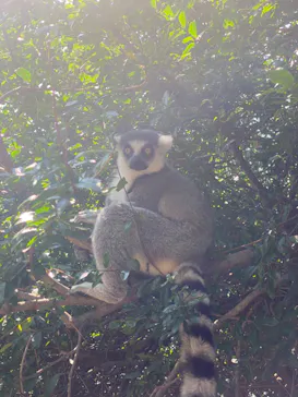 神戸どうぶつ王国に投稿された画像（2022/7/26）