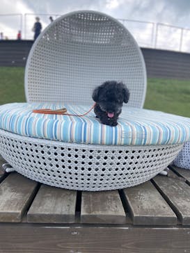 びわ湖バレイに投稿された画像（2022/7/26）