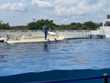 京都水族館に投稿された画像（2022/7/26）