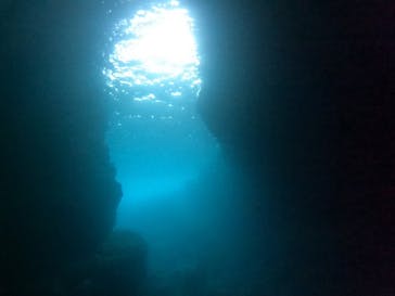 武藤潜水に投稿された画像（2022/7/26）