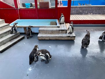 南知多ビーチランド＆南知多おもちゃ王国に投稿された画像（2022/7/26）