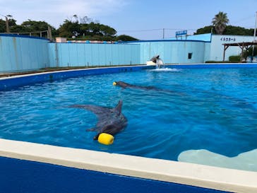 南知多ビーチランド＆南知多おもちゃ王国に投稿された画像（2022/7/26）