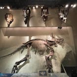 国立科学博物館に投稿された画像（2022/7/26）