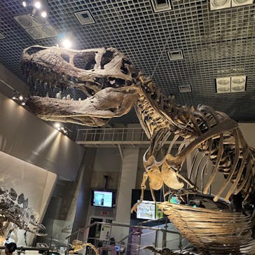 国立科学博物館に投稿された画像（2022/7/26）