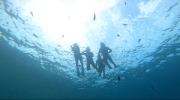 武藤潜水に投稿された画像（2022/7/26）