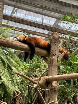 神戸どうぶつ王国に投稿された画像（2022/7/26）