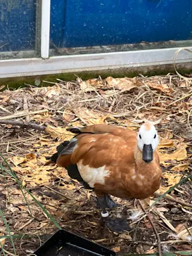 神戸どうぶつ王国に投稿された画像（2022/7/26）