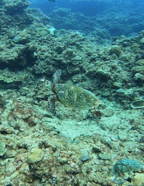 武藤潜水に投稿された画像（2022/7/26）