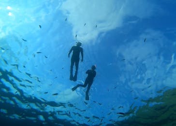 武藤潜水に投稿された画像（2022/7/26）