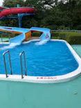 日本モンキーパークに投稿された画像（2022/7/26）