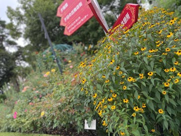 西武園ゆうえんちに投稿された画像（2022/7/26）