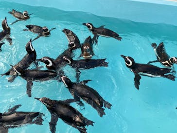 株式会社Gに投稿された画像（2022/7/26）