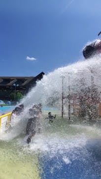 東京サマーランドに投稿された画像（2022/7/26）