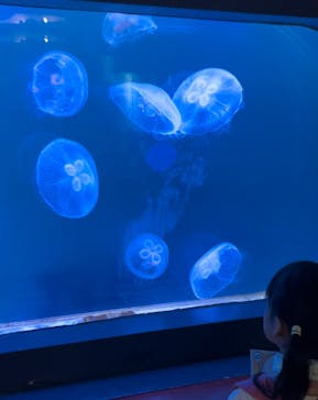 株式会社Gに投稿された画像（2022/7/26）