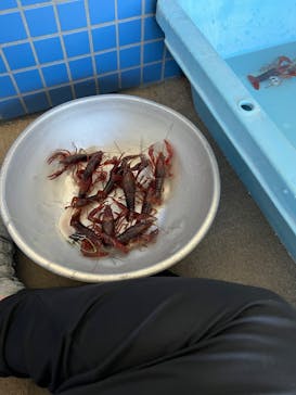 株式会社Gに投稿された画像（2022/7/26）