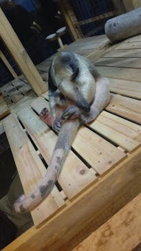 ぶっとんでるいきもの展2に投稿された画像（2022/7/26）