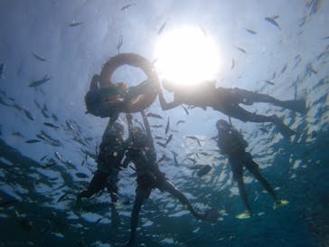 Sea World（シーワールド）に投稿された画像（2022/7/26）