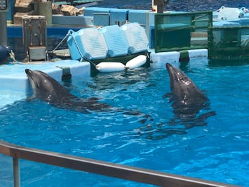 名古屋港水族館に投稿された画像（2022/7/26）