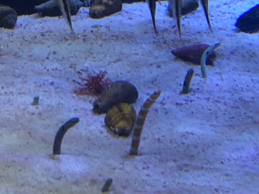 名古屋港水族館に投稿された画像（2022/7/26）