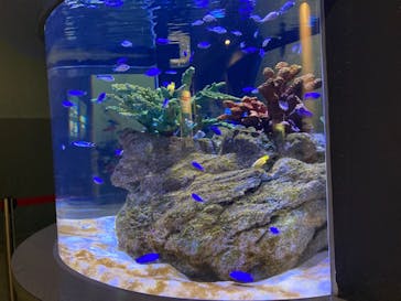 登別マリンパークニクスに投稿された画像（2022/7/26）