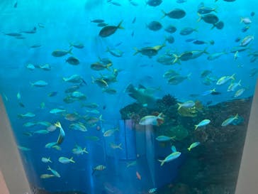 登別マリンパークニクスに投稿された画像（2022/7/26）