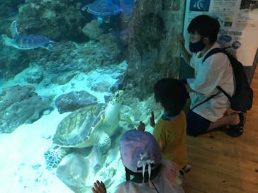 南知多ビーチランド＆南知多おもちゃ王国に投稿された画像（2022/7/27）