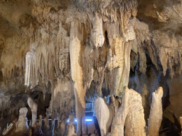 石垣島鍾乳洞に投稿された画像（2022/7/27）