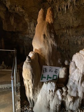 石垣島鍾乳洞に投稿された画像（2022/7/27）