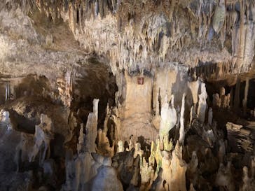 石垣島鍾乳洞に投稿された画像（2022/7/27）