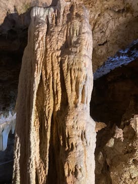 石垣島鍾乳洞に投稿された画像（2022/7/27）