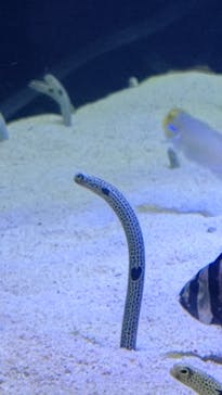 株式会社Gに投稿された画像（2022/7/27）