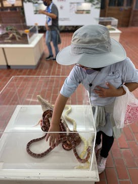 おきなわワールドに投稿された画像（2022/7/27）