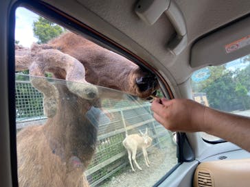 那須サファリパークに投稿された画像（2022/7/27）