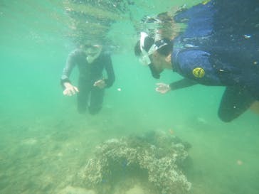 沖縄マリンサービス碧に投稿された画像（2022/7/27）