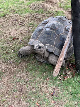 神戸どうぶつ王国に投稿された画像（2022/7/27）