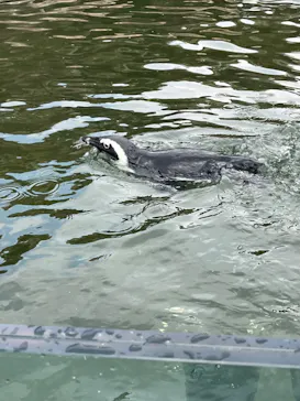 神戸どうぶつ王国に投稿された画像（2022/7/27）