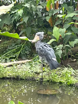 神戸どうぶつ王国に投稿された画像（2022/7/27）