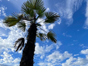 東京サマーランドに投稿された画像（2022/7/27）