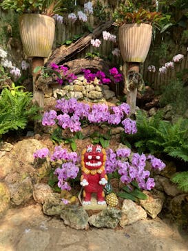 ナゴパイナップルパークに投稿された画像（2022/7/27）