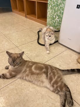 Moff animal world BIGHOPガーデンモール印西店に投稿された画像（2022/7/27）