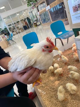 Moff animal world BIGHOPガーデンモール印西店に投稿された画像（2022/7/27）