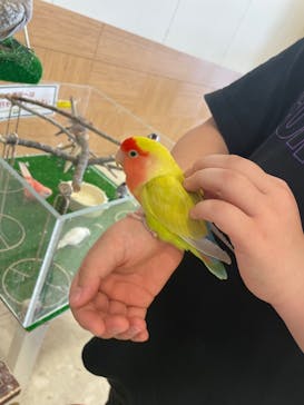 Moff animal world BIGHOPガーデンモール印西店に投稿された画像（2022/7/27）