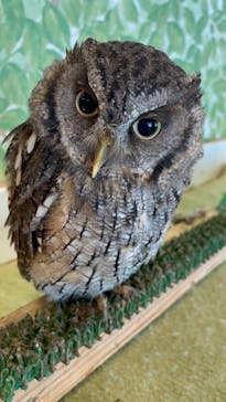 Moff animal world BIGHOPガーデンモール印西店に投稿された画像（2022/7/27）