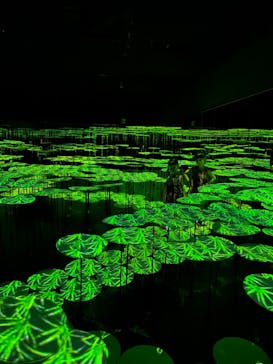 森ビル デジタルアート ミュージアム：エプソン チームラボボーダレスに投稿された画像（2022/7/27）