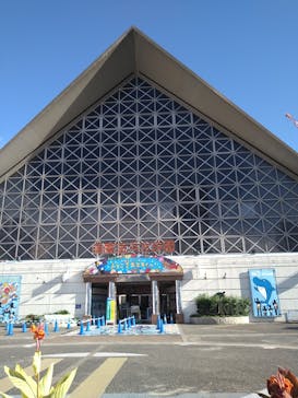 株式会社Gに投稿された画像（2022/7/27）