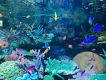 サンシャイン水族館に投稿された画像（2022/7/27）