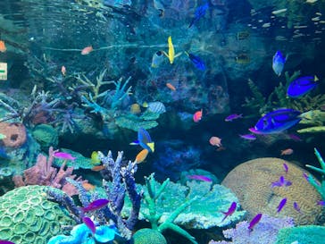 サンシャイン水族館に投稿された画像（2022/7/27）